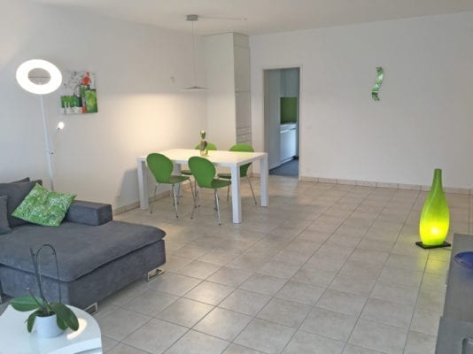 HolAp - Ferienwohnungen, Ferienhäuser im Tessin, Ascona, Locarno, Minusio, Orselina, Brione S.Minusio, Valle Maggia, Valle Verzasca, Gambarogno - holiday - H6612-423_soggiorno2.jpg