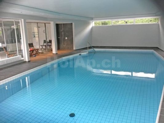 HolAp - Ferienwohnungen, Ferienhäuser im Tessin, > Ascona, Locarno, Minusio, Orselina, Brione S.Minusio, Valle Maggia,  > Valle Verzasca, Gambarogno - H6648-429_piscina