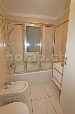 HolAp - Ferienwohnungen, Ferienhäuser im Tessin, Ascona, Locarno, Minusio, Orselina, Brione S.Minusio, Valle Maggia, Valle Verzasca, Gambarogno - 104B-1065_IMG_7790_rimpicciolito.jpg