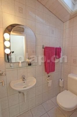 HolAp - Ferienwohnungen, Ferienhäuser im Tessin, Ascona, Locarno, Minusio, Orselina, Brione S.Minusio, Valle Maggia, Valle Verzasca, Gambarogno - 6644H210-1214_H6644-440_wc.jpg