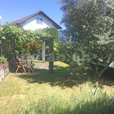 HolAp - Ferienwohnungen, Ferienhäuser im Tessin, Ascona, Locarno, Minusio, Orselina, Brione S.Minusio, Valle Maggia, Valle Verzasca, Gambarogno - 6644W212-1229_6644W212_giardino.jpg