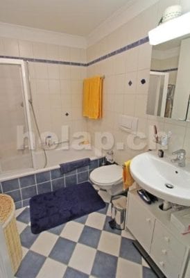 HolAp - Ferienwohnungen, Ferienhäuser im Tessin, Ascona, Locarno, Minusio, Orselina, Brione S.Minusio, Valle Maggia, Valle Verzasca, Gambarogno - 6648W157-265_bagno.jpg