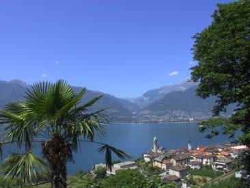 HolAp - Ferienwohnungen, Ferienhäuser im Tessin, Ascona, Locarno, Minusio, Orselina, Brione S.Minusio, Valle Maggia, Valle Verzasca, Gambarogno - Gallery-7_100-0051_IMG.jpg
