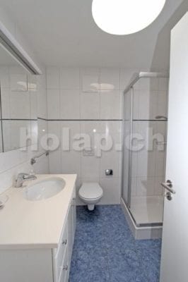HolAp - Ferienwohnungen, Ferienhäuser im Tessin, Ascona, Locarno, Minusio, Orselina, Brione S.Minusio, Valle Maggia, Valle Verzasca, Gambarogno - 6648W198-970_6648W198_bagno2.jpg